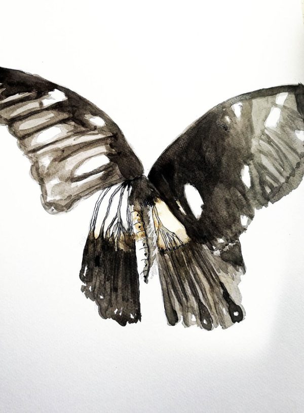 Butterfly 2021 – Watercolour on paper. 297mm x 420mm