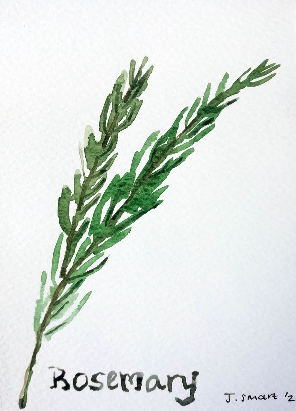 dav water colour art print