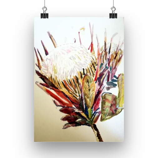 art prints by Joanna Smart